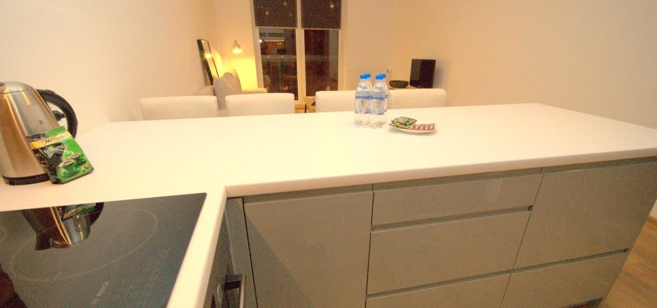 apartment, 1 bedroom, terrace (moraine hill) | private kitchenette | fridge, microwave, stovetop, dishwasher