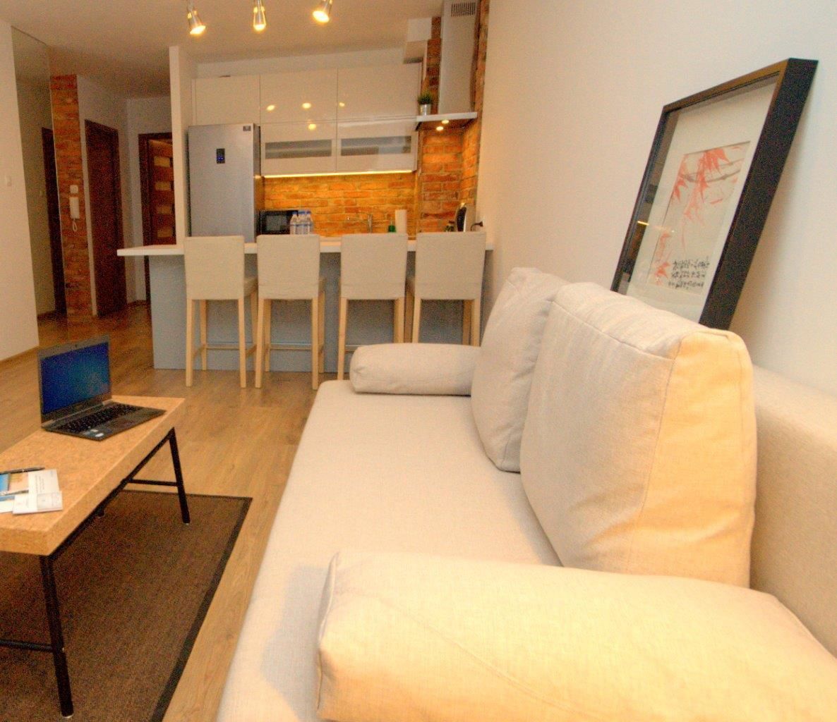 apartment, 1 bedroom, terrace (moraine hill) | living area | tv