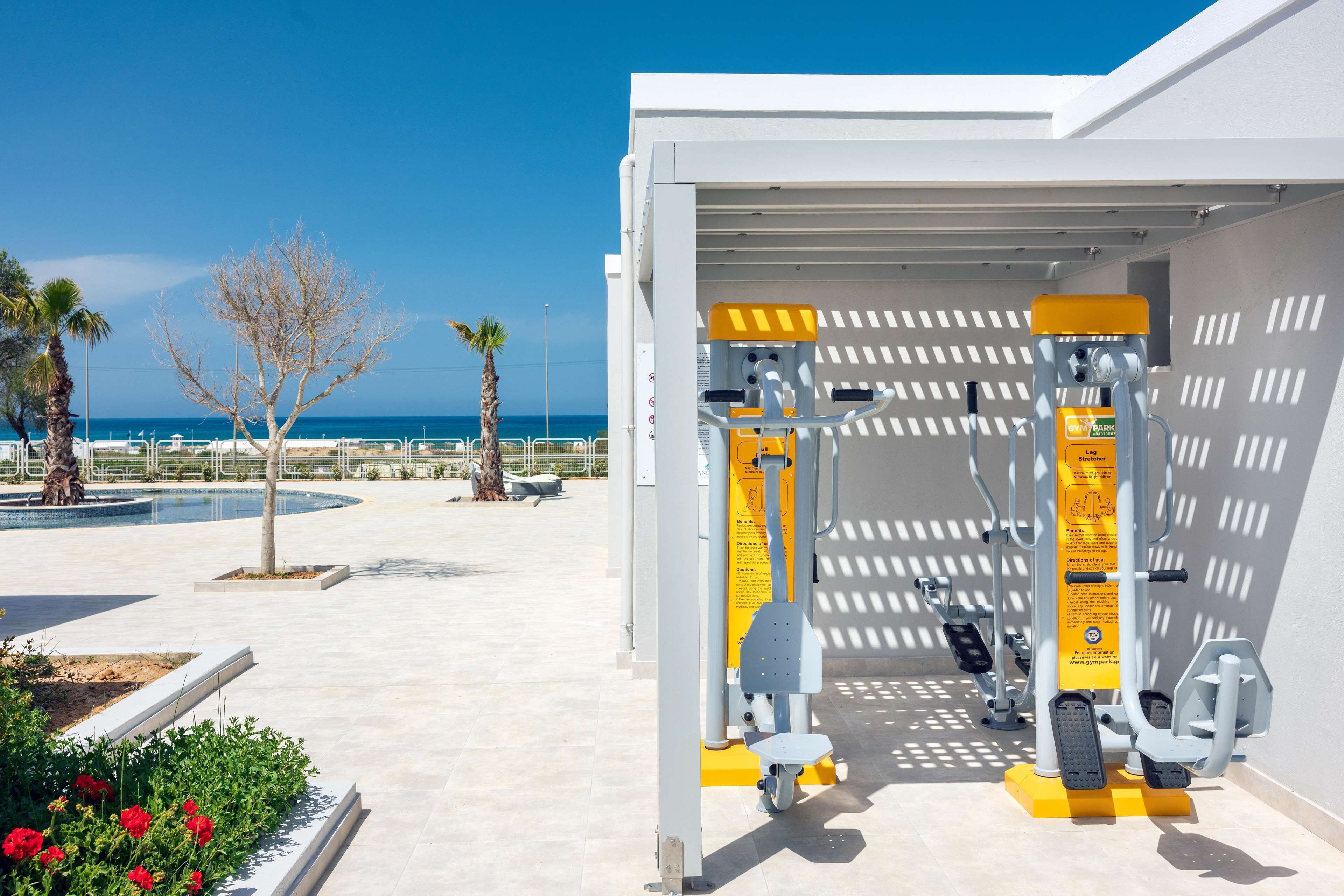 An outdoor gym with exercise equipment, a palm tree, and a clear blue sky.