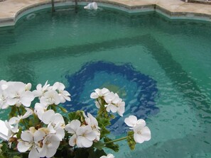 Outdoor pool - Hotel Palacio Doñana (Almonte)