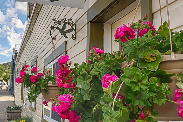 Entrada de l'allotjament