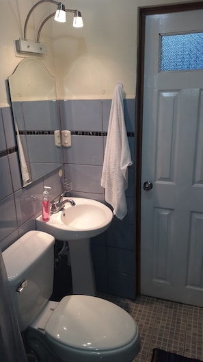 Chambre avec lits jumeaux, 1 lit une place | Salle de bain | Douche, articles de toilette gratuits