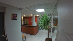 Un pasillo con mostrador de recepción, una planta en maceta y un banco.