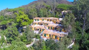 A hillside property with multiple yellow buildings, surrounded by dense greenery and trees. - Baia Paraelios  (Parghelia)