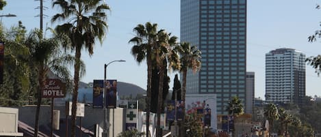 Vista desde la propiedad