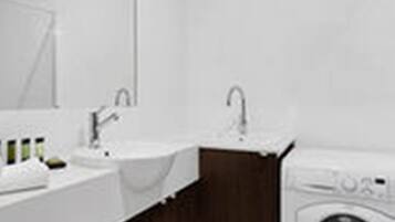 A modern bathroom with a double sink, a mirror, and a built-in washing machine.