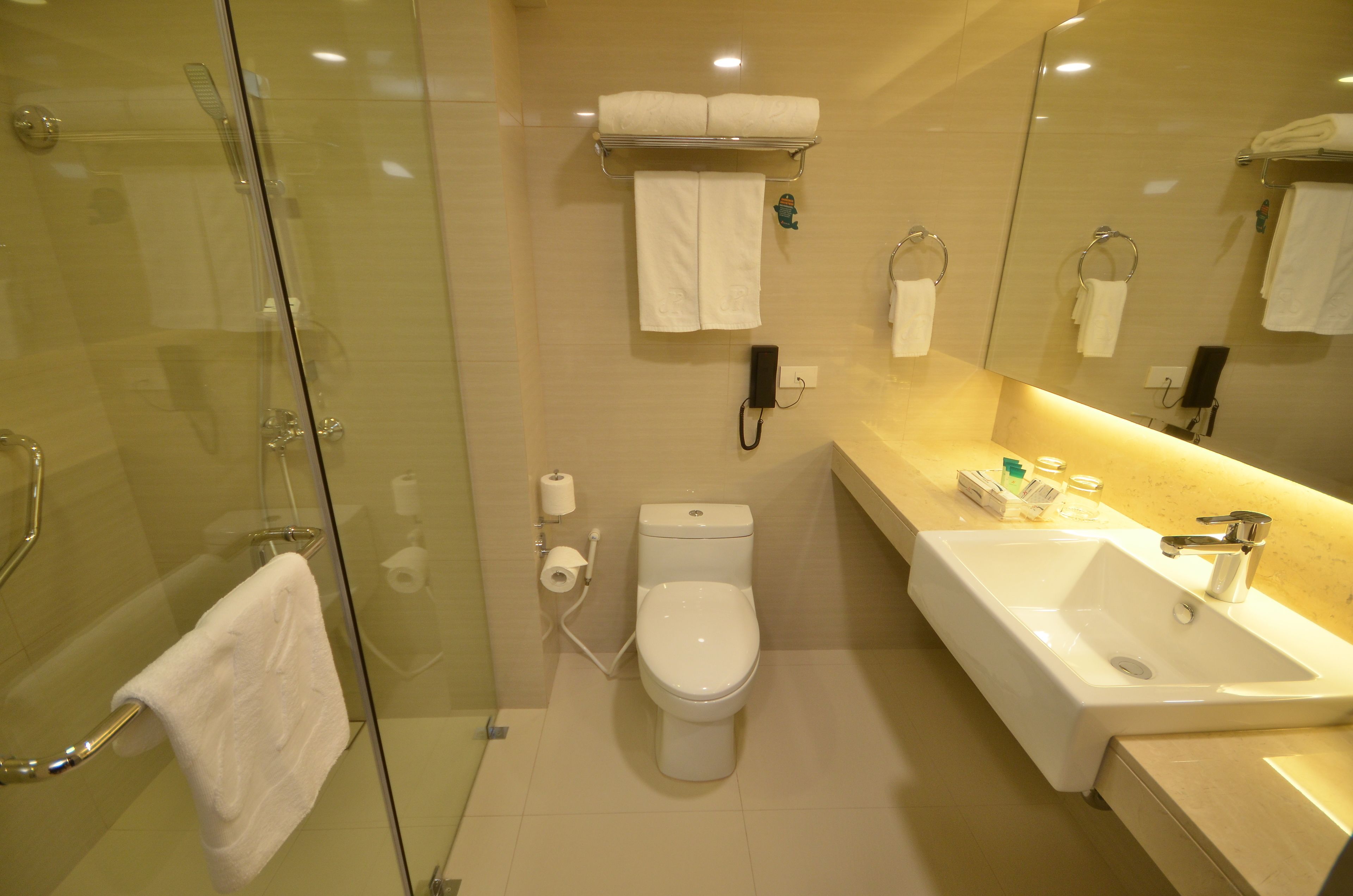 Een moderne badkamer met een douche met glazen wand, een toilet en een wastafel.