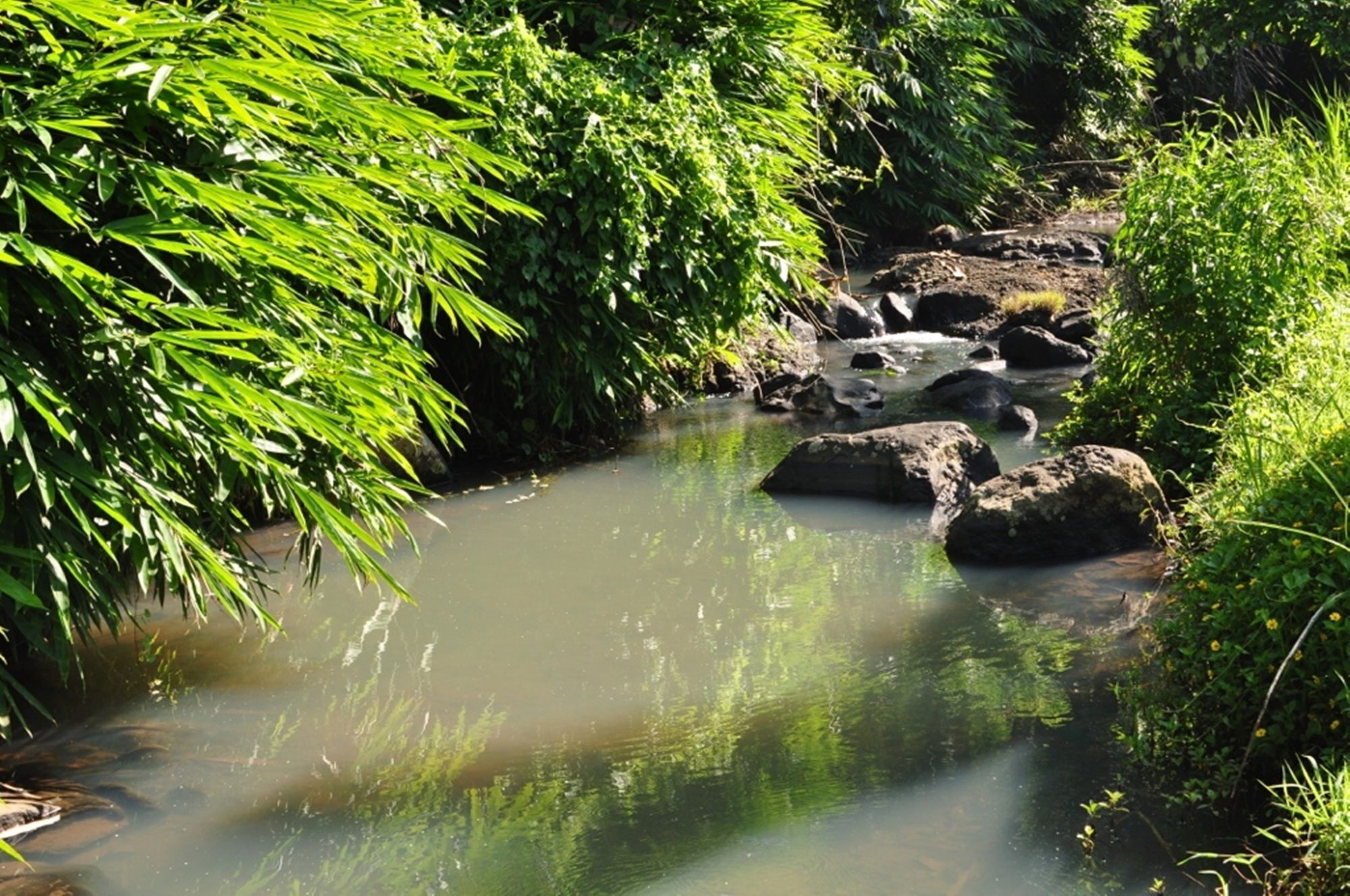 Jardines del alojamiento