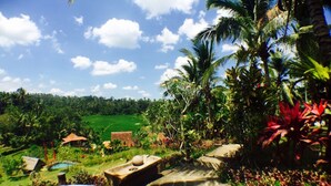 Unclassified image, 4 of 201, button - Bali Lush (Selemadeg)