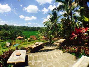 Vista da propriedade