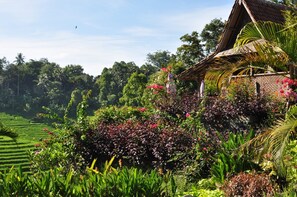View from property - Bali Lush (Selemadeg)