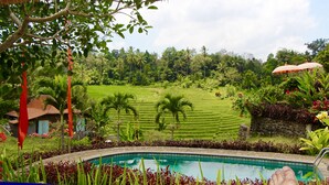 Unclassified image, 5 of 201, button - Bali Lush (Selemadeg)