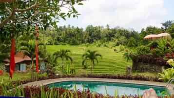 Kolam renang outdoor