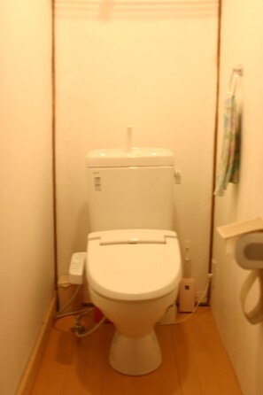 Shower, electronic bidet
