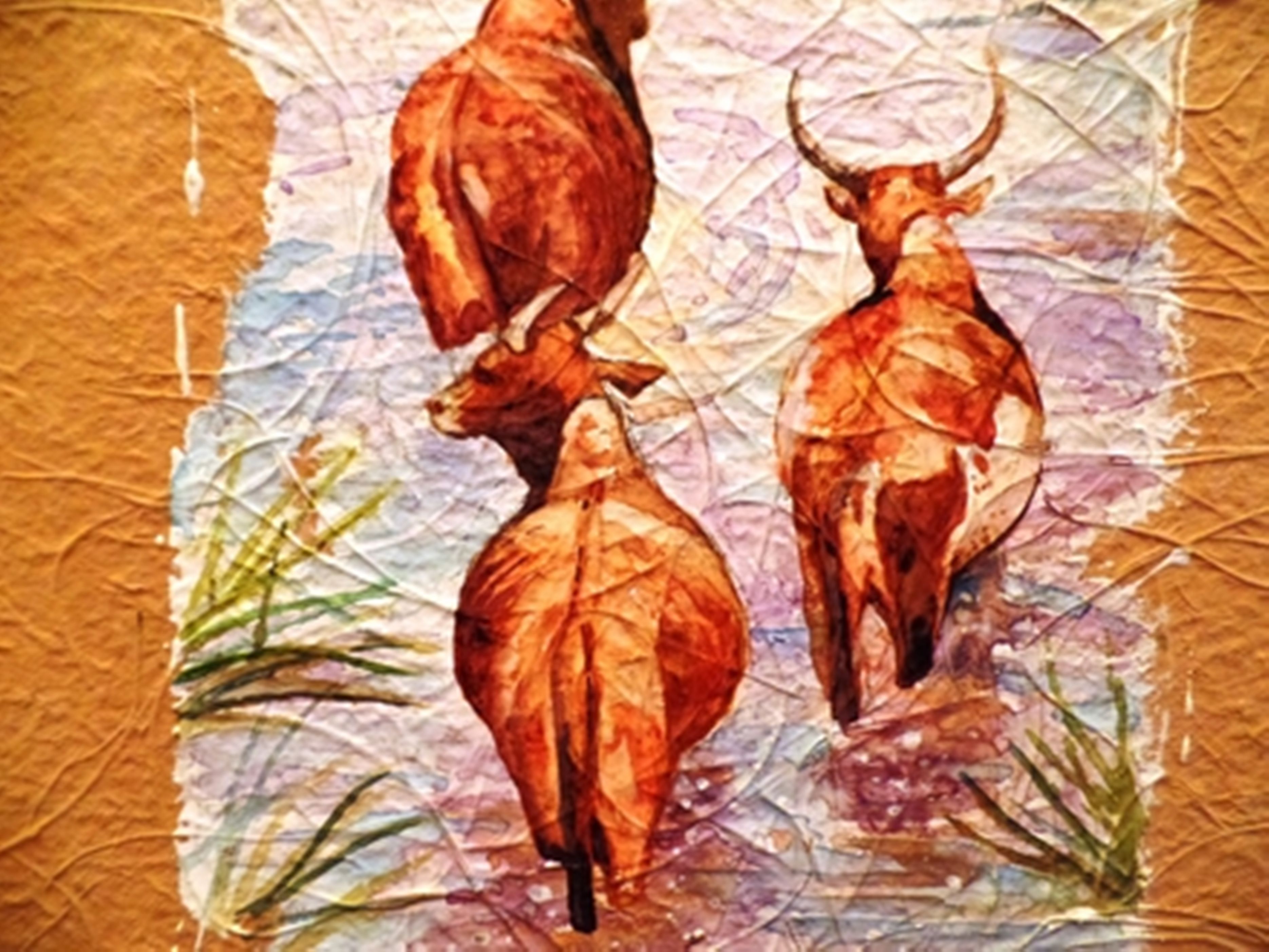 Photo - Maison Lovasoa