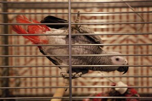 Property amenity - COLORFACTORY SPA Hotel (Prague)