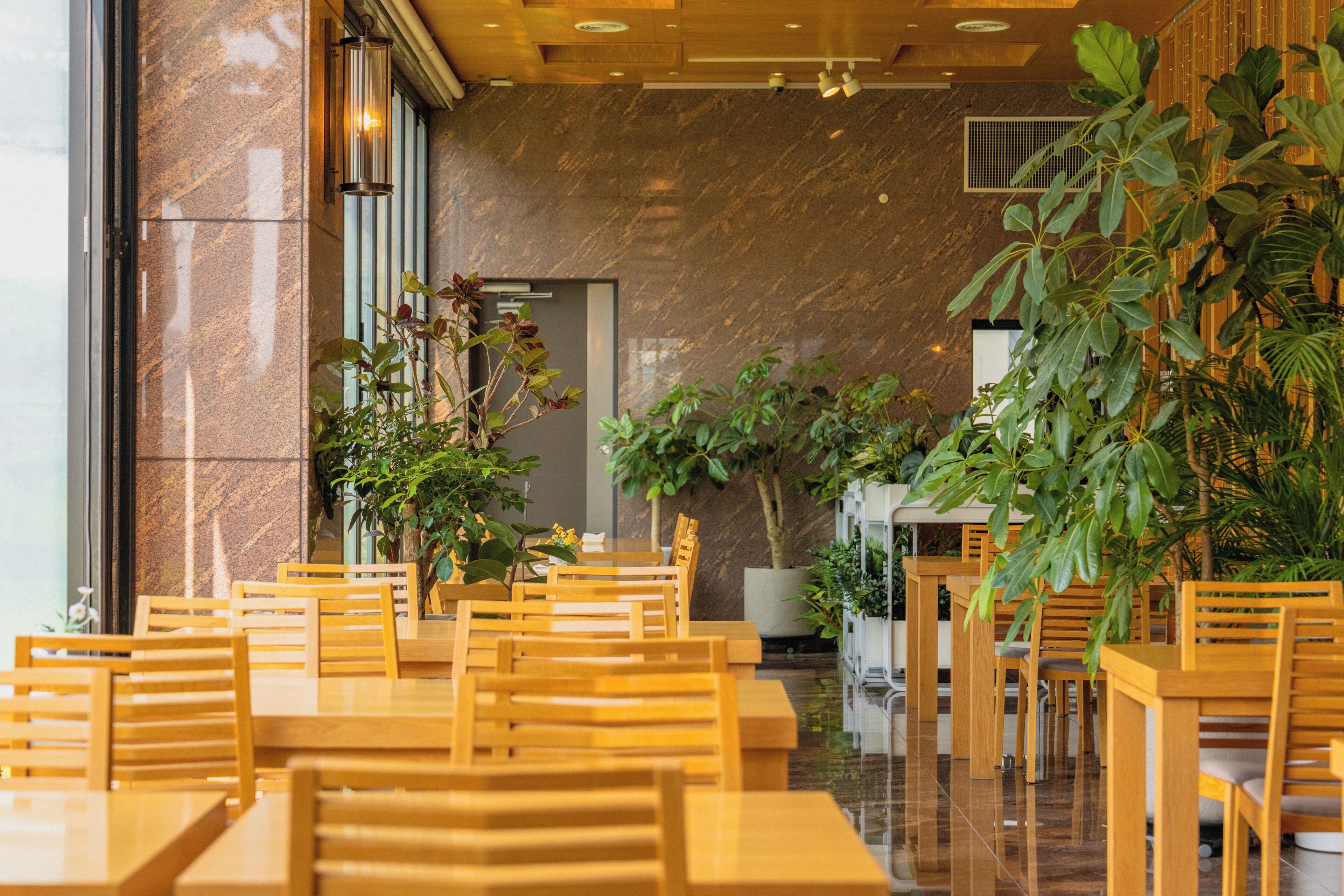 A restaurant with wooden tables and chairs, large potted plants, and a marble wall.