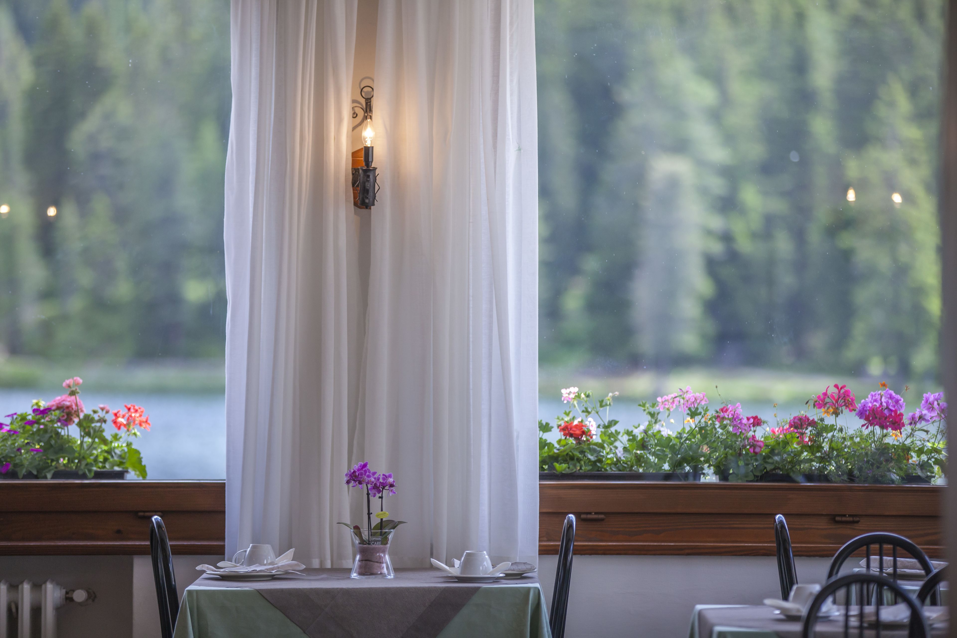 Un comedor con una mesa lista para dos, una ventana con cortinas y vistas a un lago con flores en el alféizar.