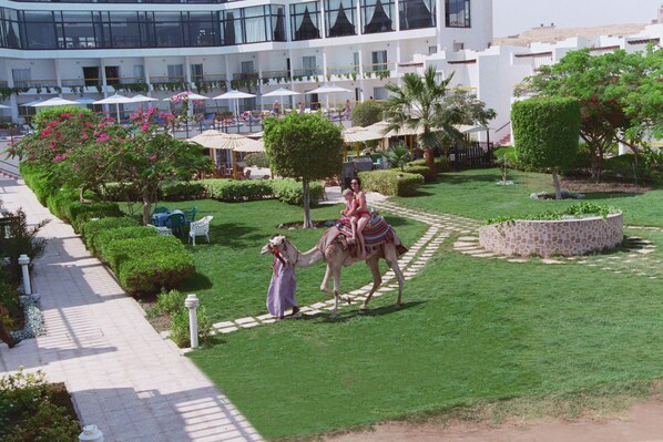 Playa