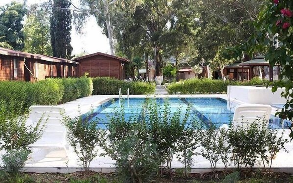 Outdoor pool, pool umbrellas, sun loungers