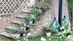 A set of stone steps leading to a door, with potted plants and flowers along the steps.