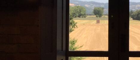 Double or Twin Room | View from room