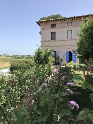 Bagian depan properti