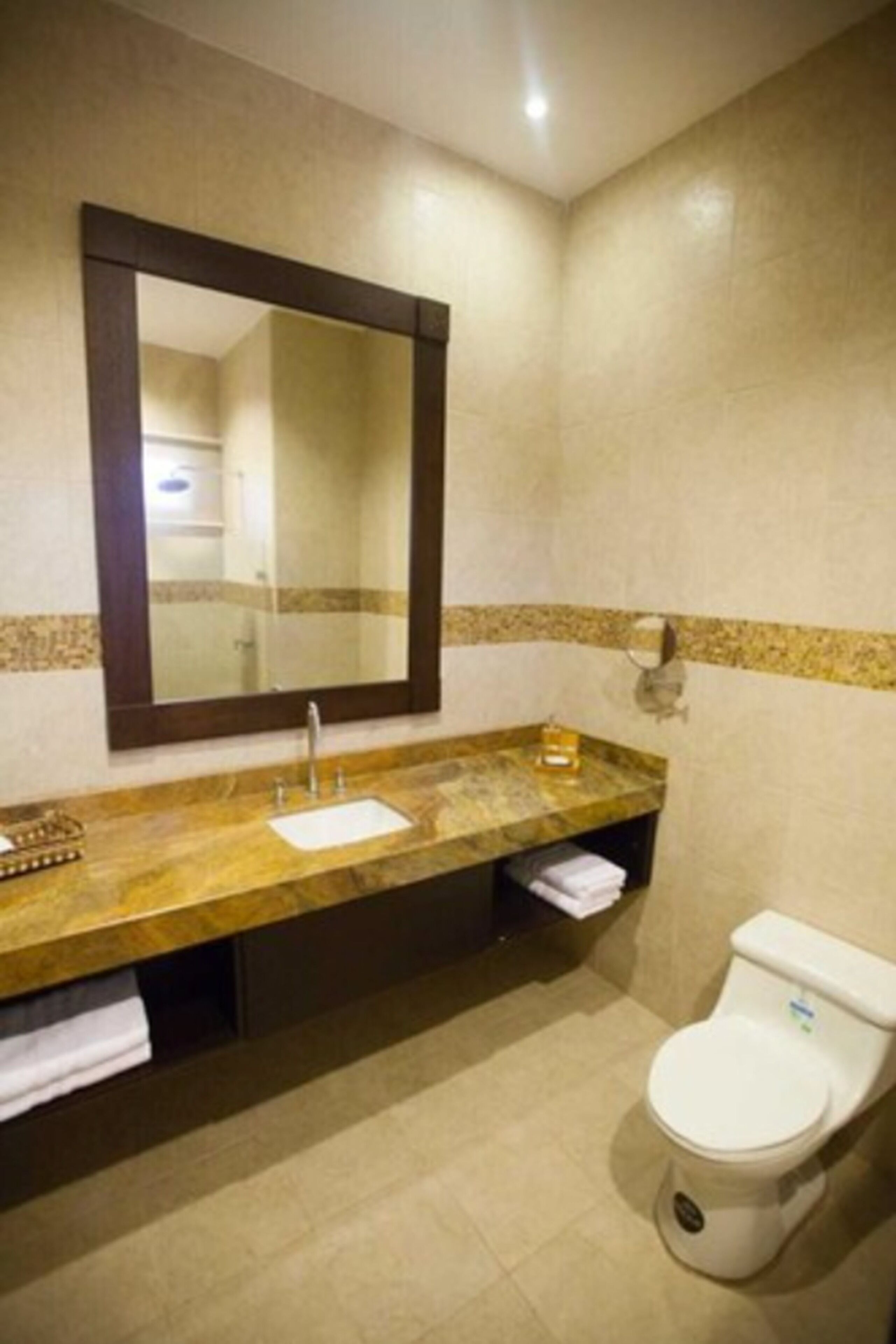 shower, rainfall showerhead, hair dryer, towels