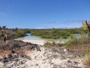 Point of interest - Palo Santo Galapagos Hotel (Puerto Ayora)