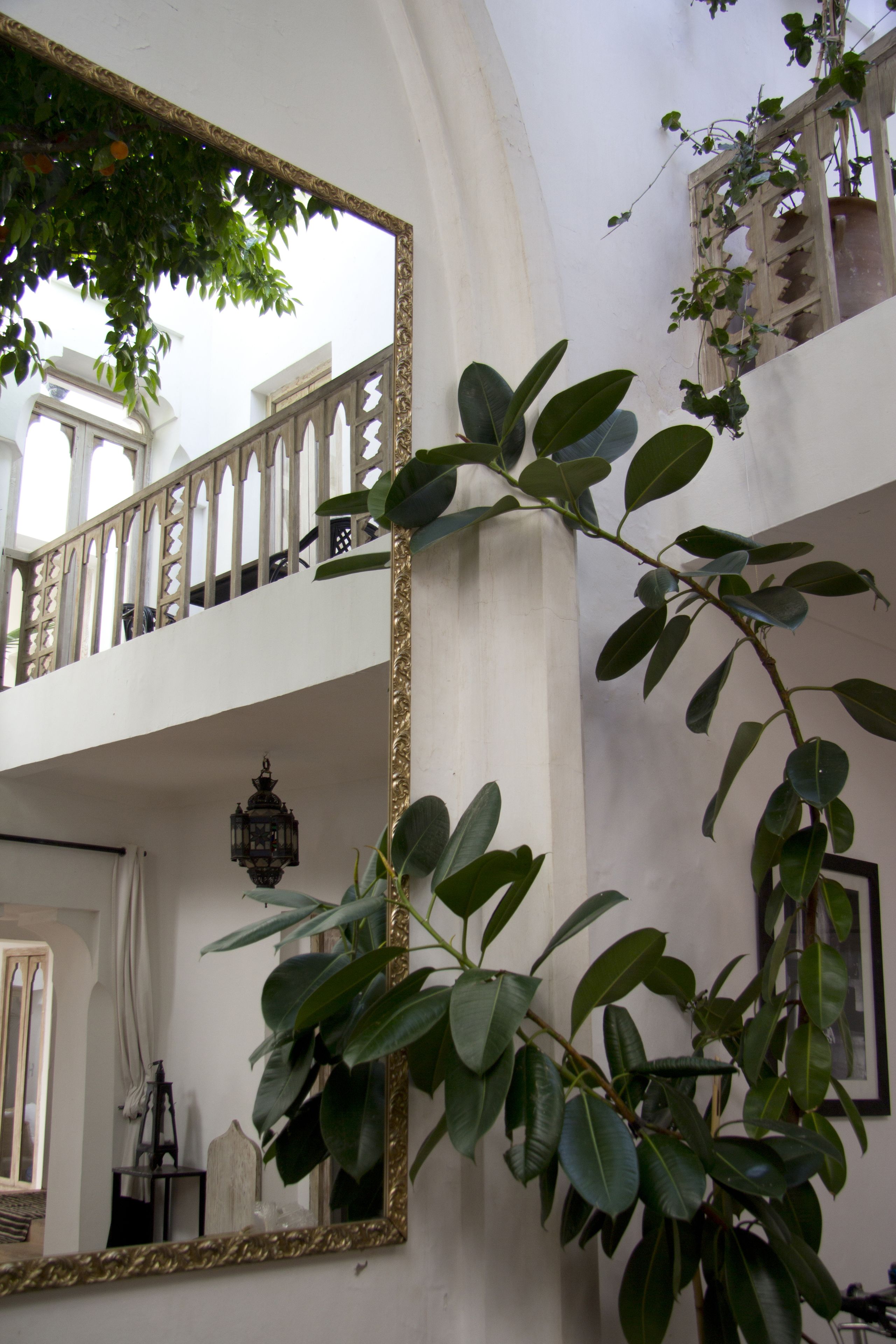 Photo - Riad Safa