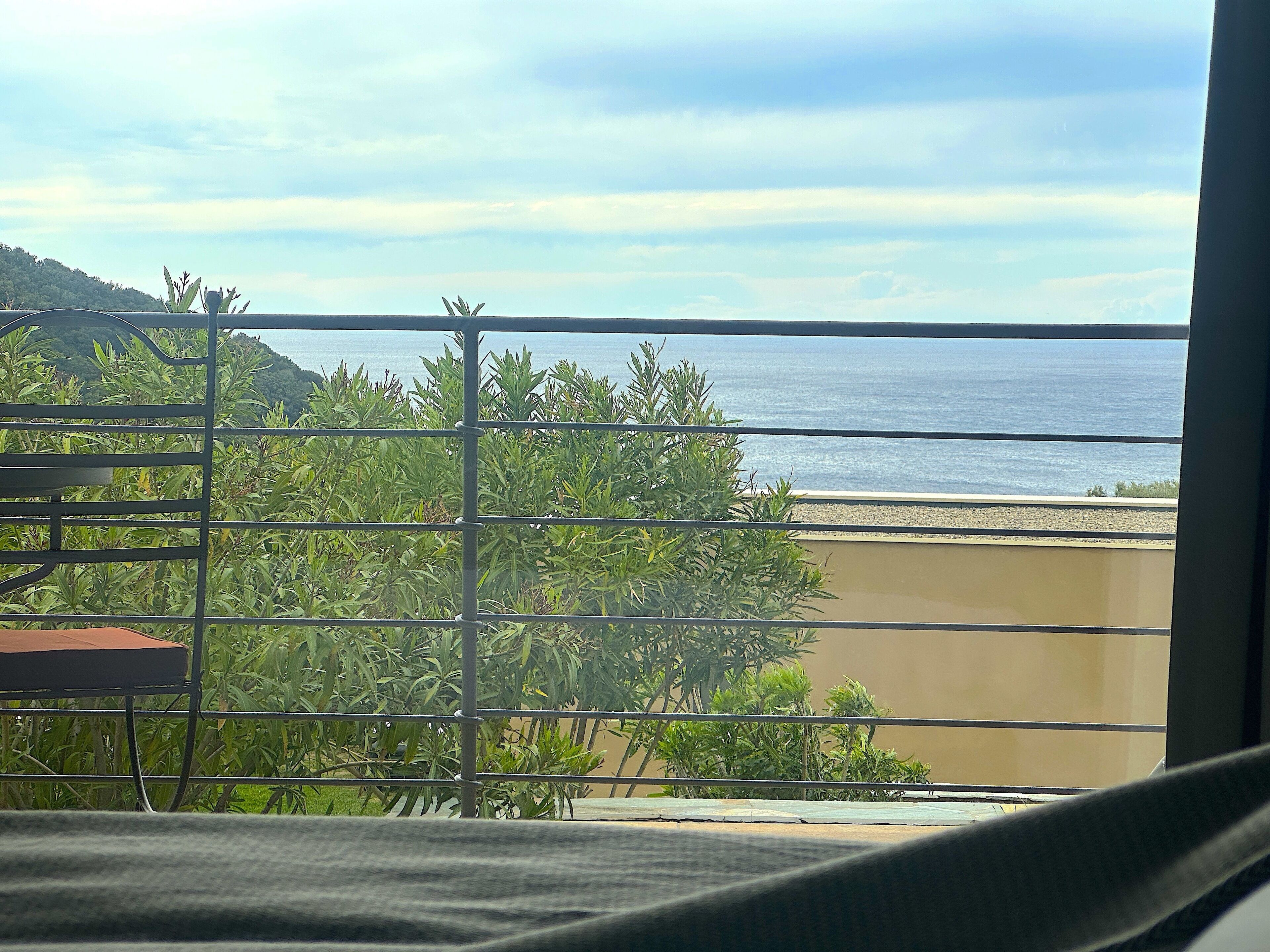 A balcony with a view of the sea and greenery.