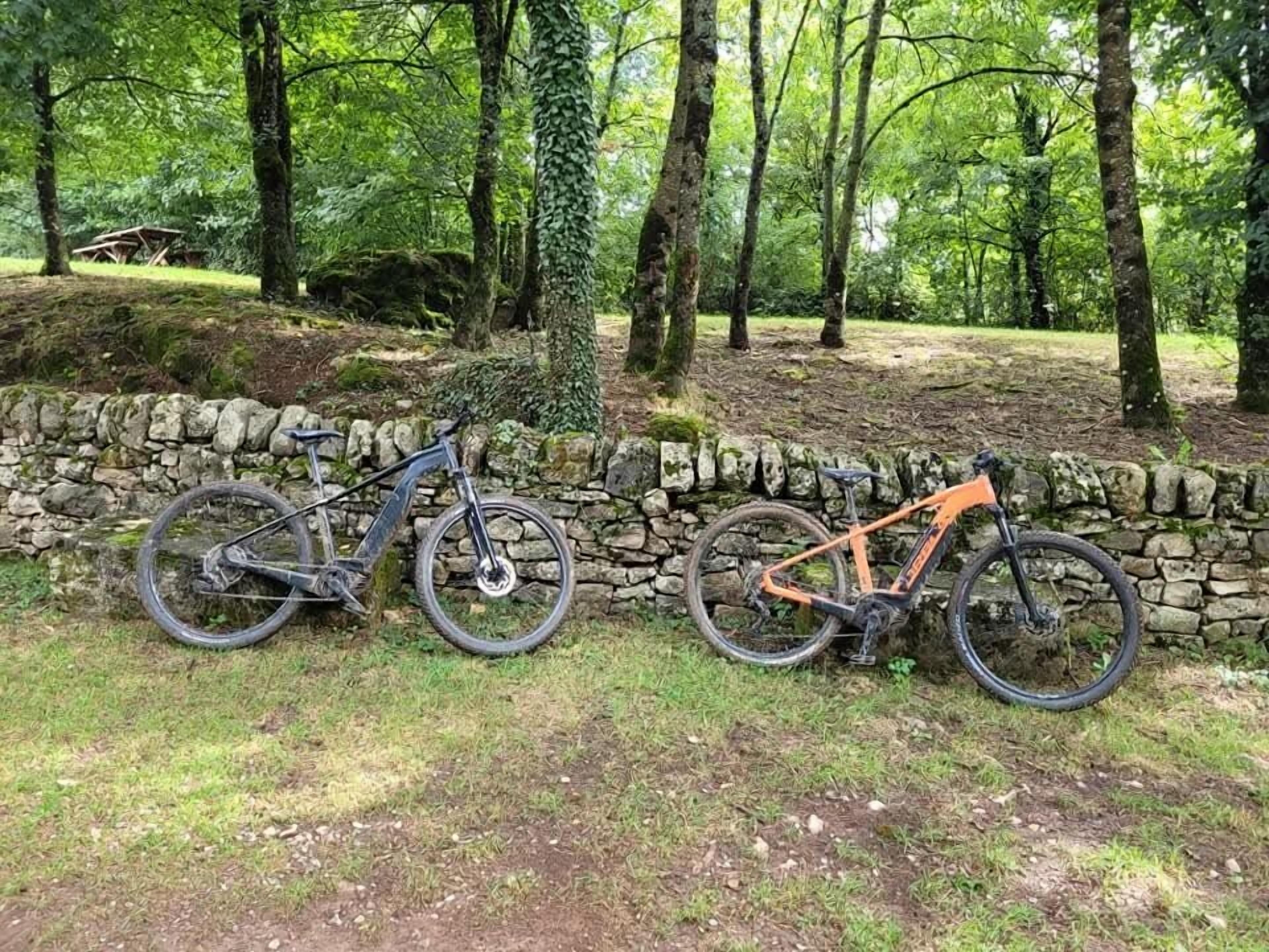 Two bicycles leaning against a stone wall in a forested area.