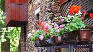 A stone wall with hanging flower planters and a wooden structure. - Baltica Residence (Sopot)