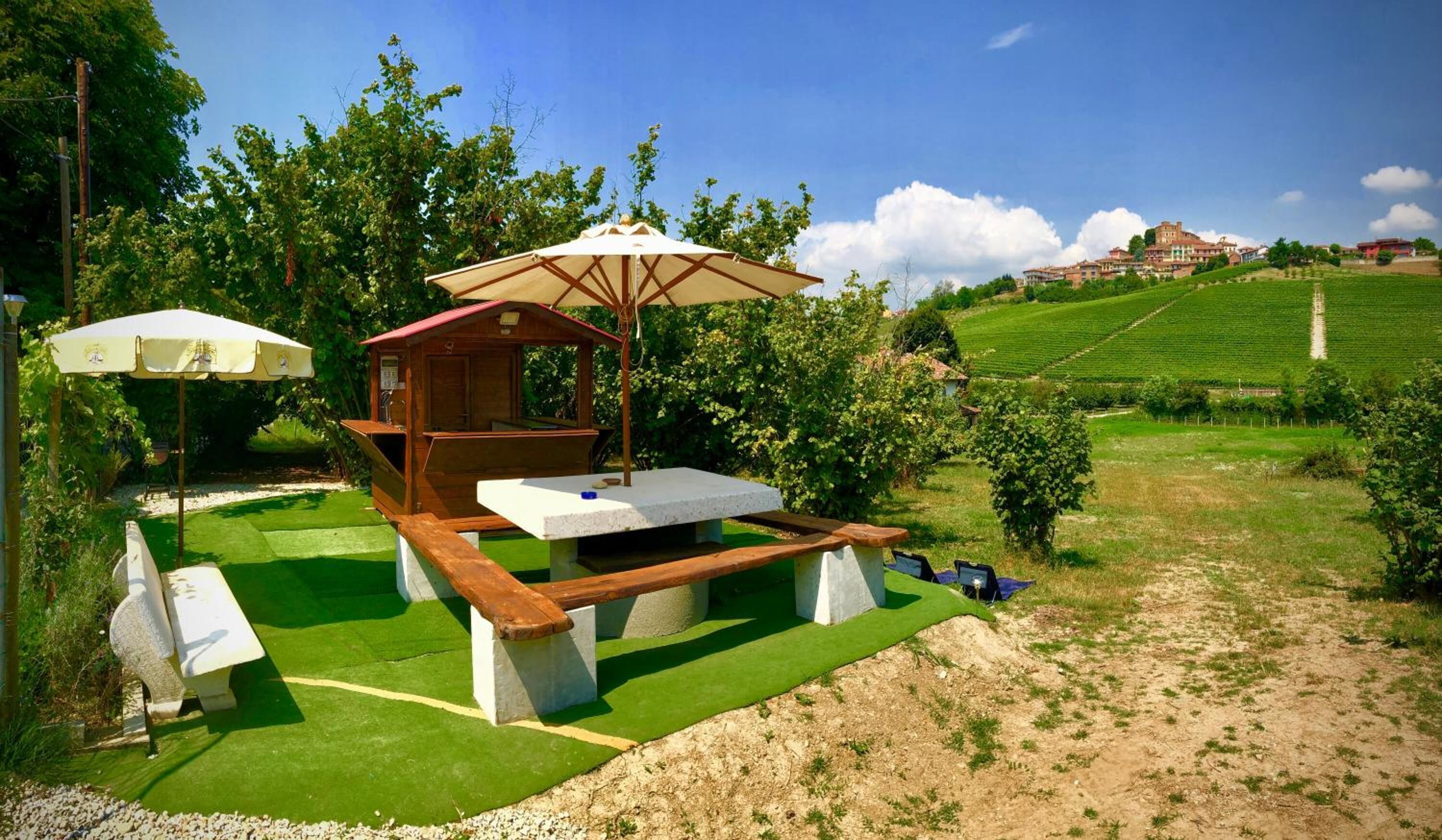 Zona de picnic con una mesa y bancos de madera, rodeada de vegetación y vistas a viñedos.