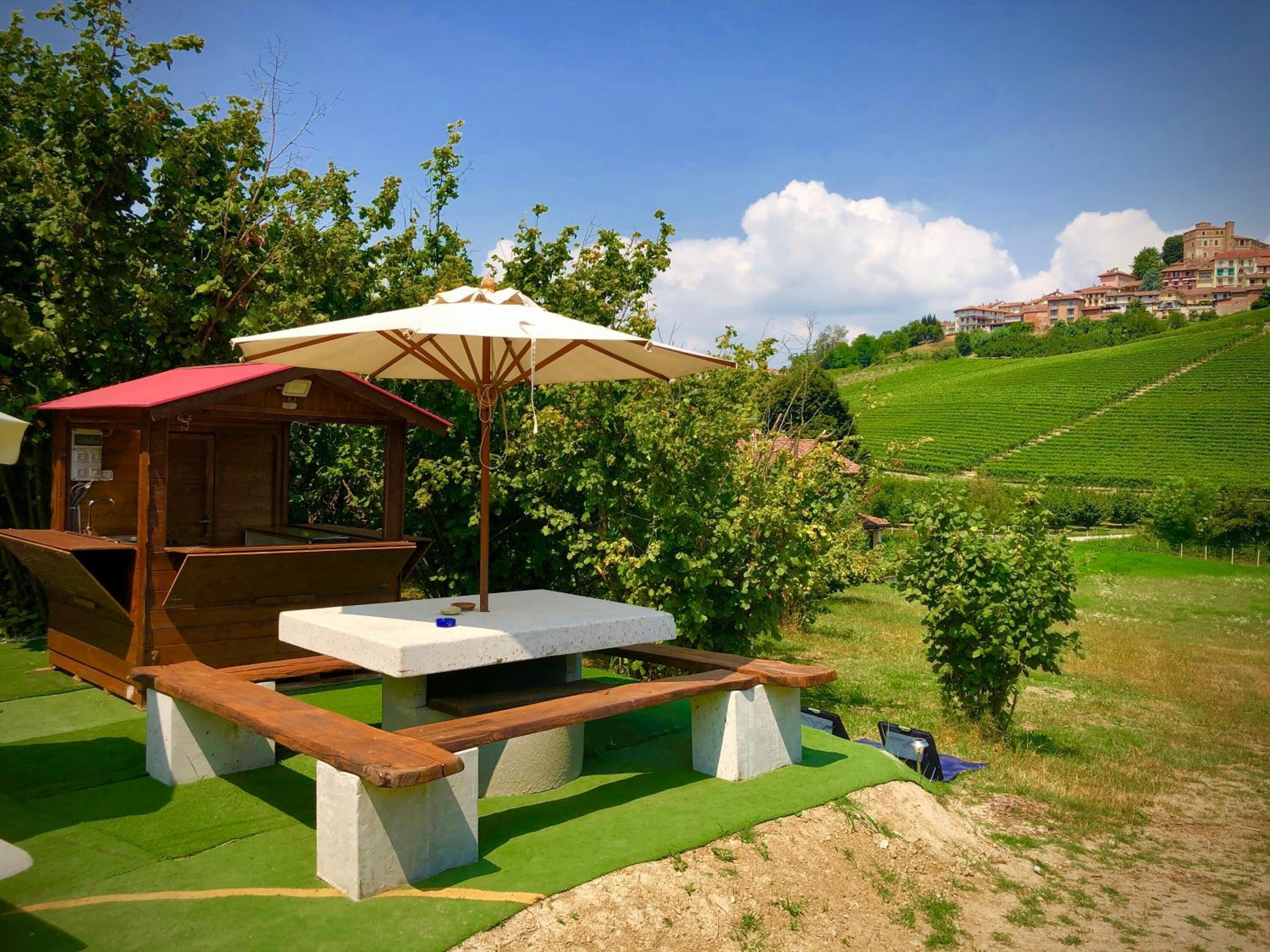 A picnic area with a wooden table and benches, surrounded by greenery and a view of a vineyard.