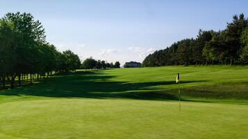 A golf course with a flagstick in the foreground, surrounded by well-maintained grass and trees.