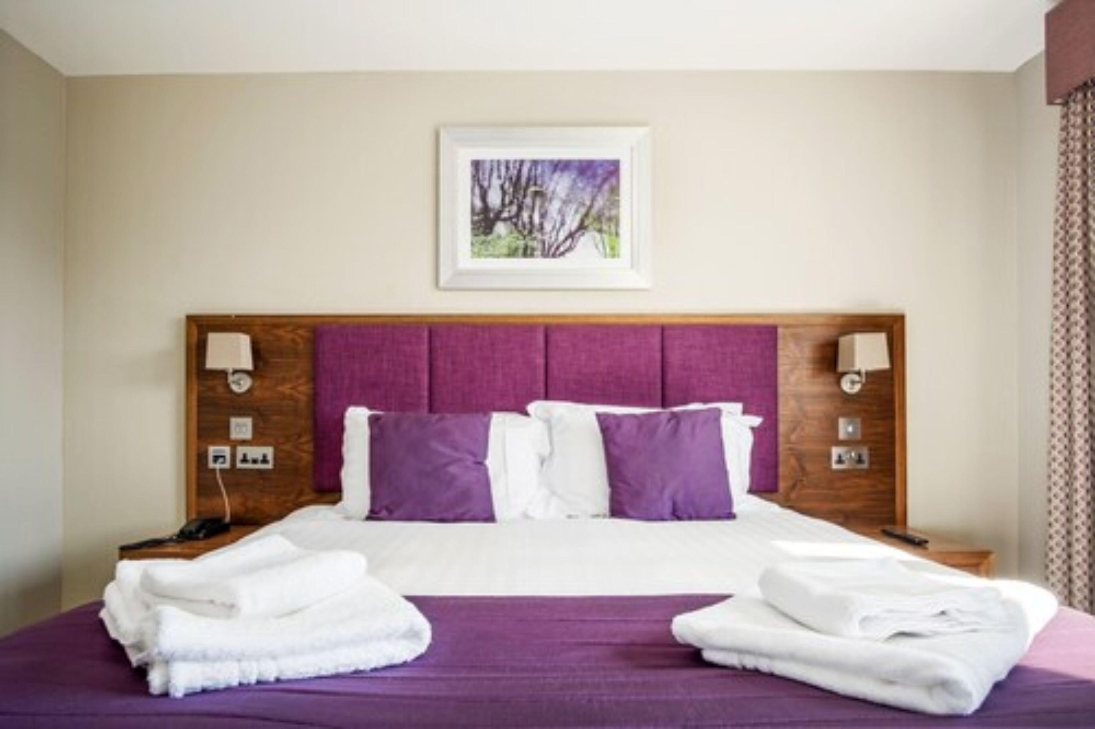 A hotel room with a large bed, purple bedding, two bedside lamps, and a framed picture on the wall.