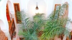 الفناء