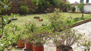 Un jardin agrémenté de plantes en pot et doté d’un chemin en pierre.