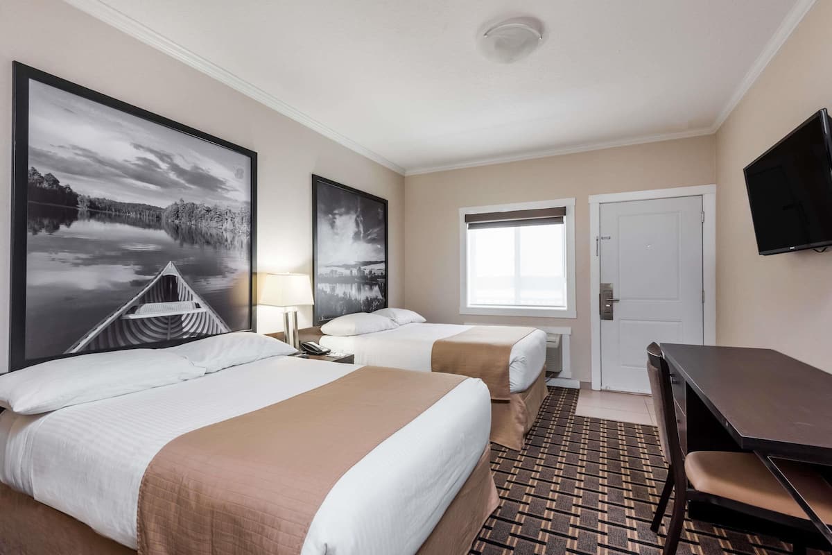 1 habitación, ropa de cama de alta calidad y escritorio