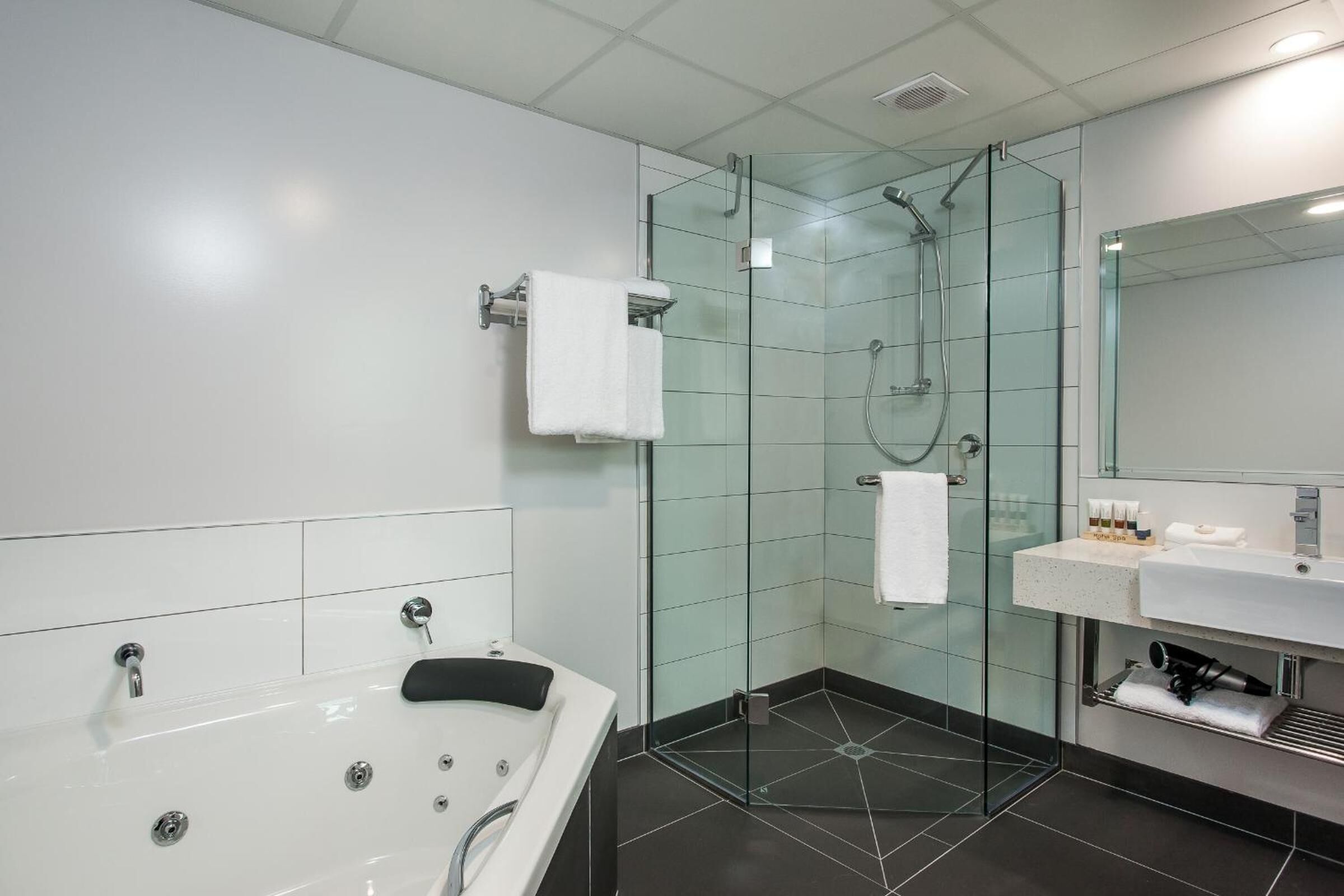 Free toiletries, hair dryer, towels