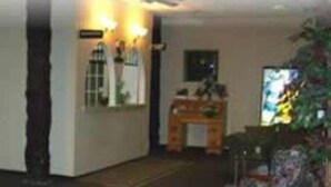 A living room with a sofa, a coffee table, and a television. There is a plant and a window in the room. - Classic Inn (Melville)