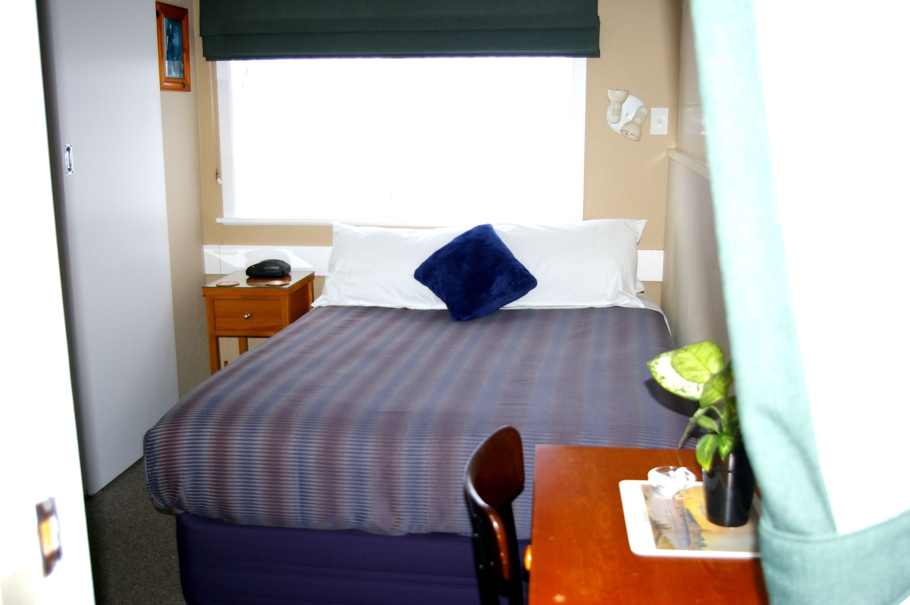 A hotel room with a bed, a bedside table, a chair, a small table with a plant, and a window with a view.