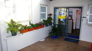 A reception area with a white reception desk, a glass door entrance, and potted plants on a white bench.