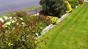 Un parterre fleuri au bord de la route, avec différentes fleurs aux couleurs vives et un arbuste taillé avec soin.