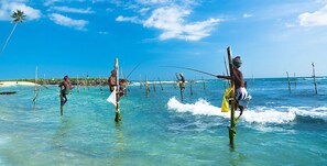 Beach nearby, fishing