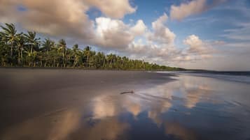 Di pantai dan pasir hitam