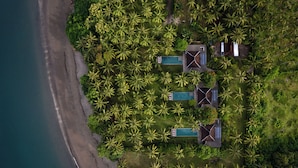 Vista aérea de una propiedad costera con varias construcciones rodeadas de palmeras densas, una playa y una piscina.
