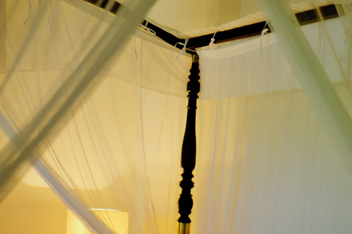 A bed with white linens and a canopy.