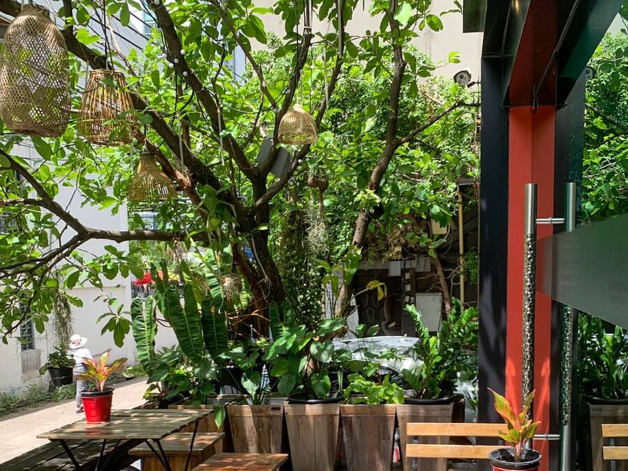 Terrace/patio